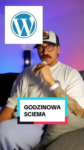2.500 zl dniowki na wordpressie, a twoi ulubieni tiktokerzy od AI dalej klapia dziobem ze IT sie skonczylo xD #programista #programowanie #programista15k #wordpress #evansroka 