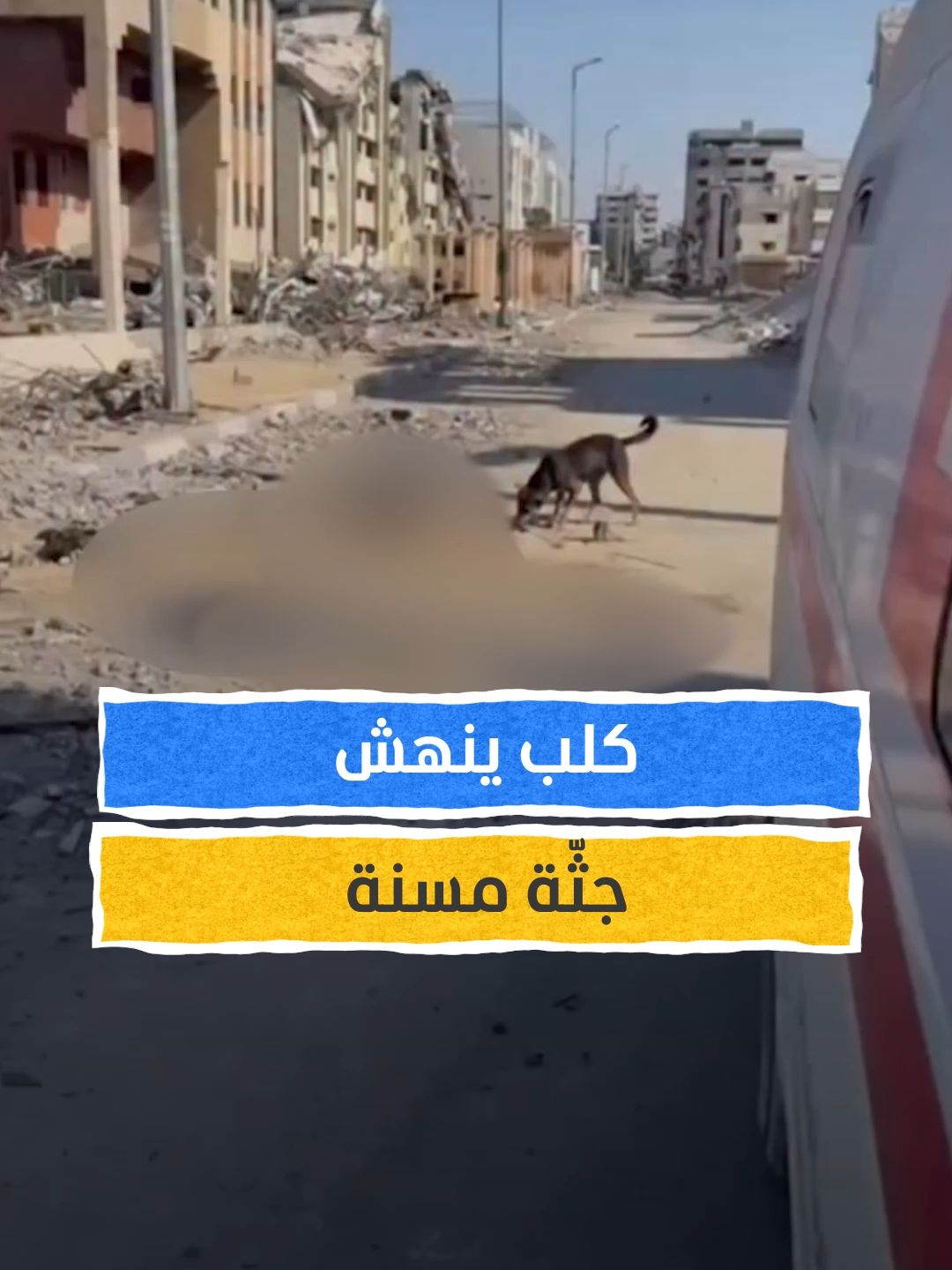 في غزة.. مشهد مبكي عند وصول سيارات الإسعاف⁣ #اخبار_المشهد