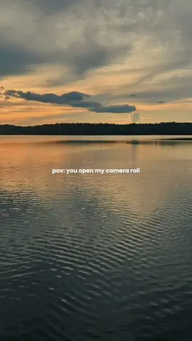 Something like that 😂. #CapCut #femalebowhunters #hoytarchery #womenthathunt #dashundpuppy 