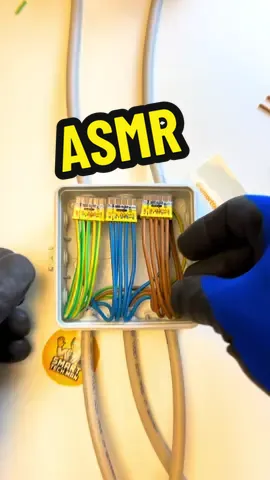 Abzweigdose 5er Klemmen 😌#CapCut #asmr #asmrsounds #asmrtiktoks #handwerk