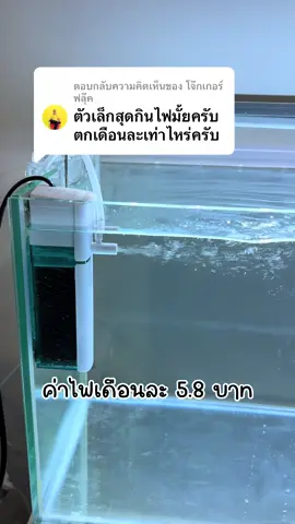 ตอบกลับ @โจ๊กเกอร์ ฟลุ๊ค คำนวณจากค่าไฟ หน่ายละ4นะครับ ส่วนมากก็3บๅn กว่าๆ-4 ครับยกเว้น คนที่อยู่หอพัก #ค่าไฟ #ปั้มน้ําตู้ปลา #อุปกรณ์ตู้ปลา #อุปกรณ์เลี้ยงปลา #ปลาสวยงาม 