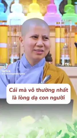 #adidaphat #nammoadidaphat #sucogiaclehieu #xuhuongtiktok #phatphapnhiemmau 