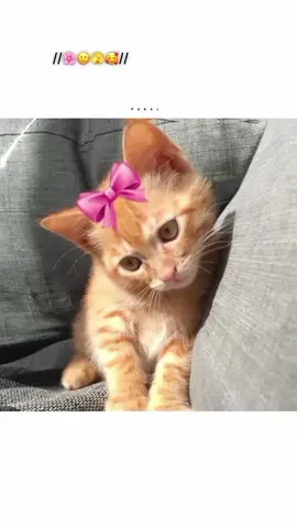 Sach ma yrrr  #videoviral #unfreezemyacount #Tiktok #follower #viewsproblem 