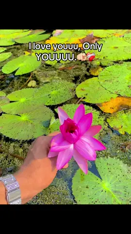 Youuuu❤️‍🩹🫵🏻#fyp #goviral #foryoupage #😭❤️ #🤌❤️ 