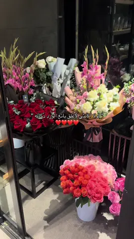 #روزلاند #تبوك #بارك #اكسبلورexplore #الشعب_الصيني_ماله_حل😂😂 