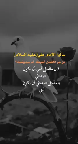 سألوا  الإمام علي عليه السلام #fyp #you #اعادة_النشر #اكسبلورexplore❥🕊 