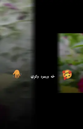 #CapCut @Mk typist @Mk typist @Matiullah #treandingvideo #unfreezemyacount #viralvideo #foryou 