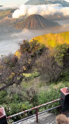pesona gunung bromo #pemandanganalam #gunung #bromovibes #gunungbromo  #aesthetic #sunset #aestheticvibes #foryouu #fypシ 
