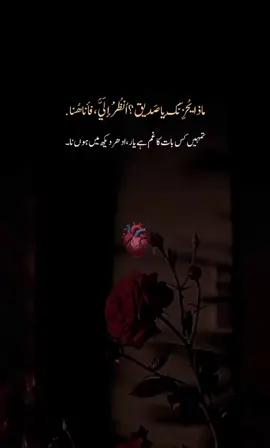 تمہیں کس بات کا غم ہے یار ،ادھر دیکھ میں ہوں نا #fouryourpage #foryouu #poetry #1milionviews #100kfollowers 