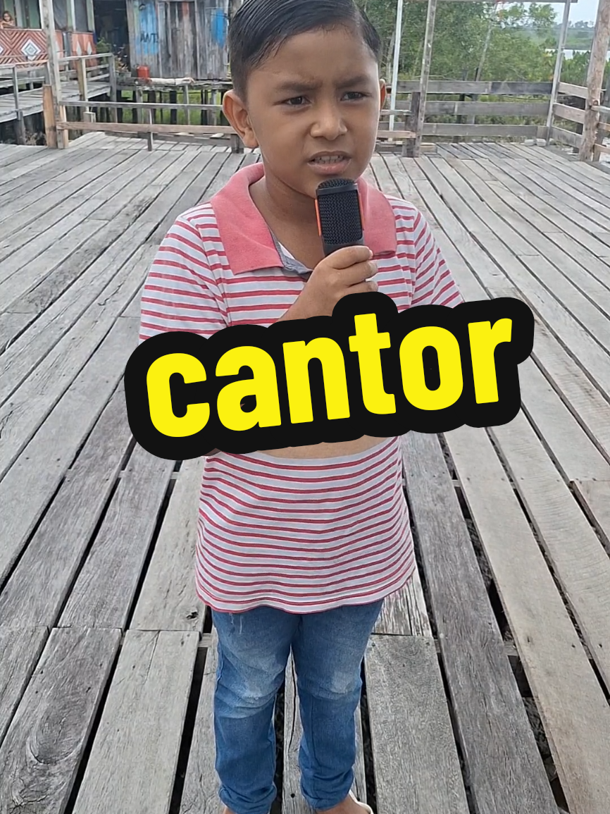 Ele soltou a voz#talent #tiktokindia #pará #vira 