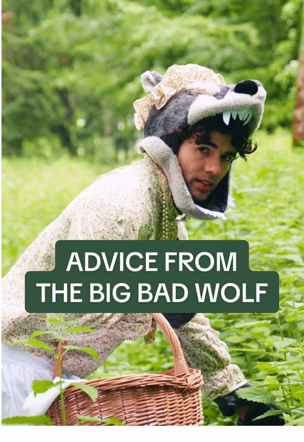 Advice from The Big Bad Wolf #comedy 