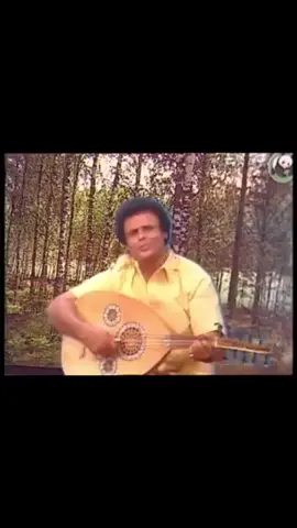 مفتون بك