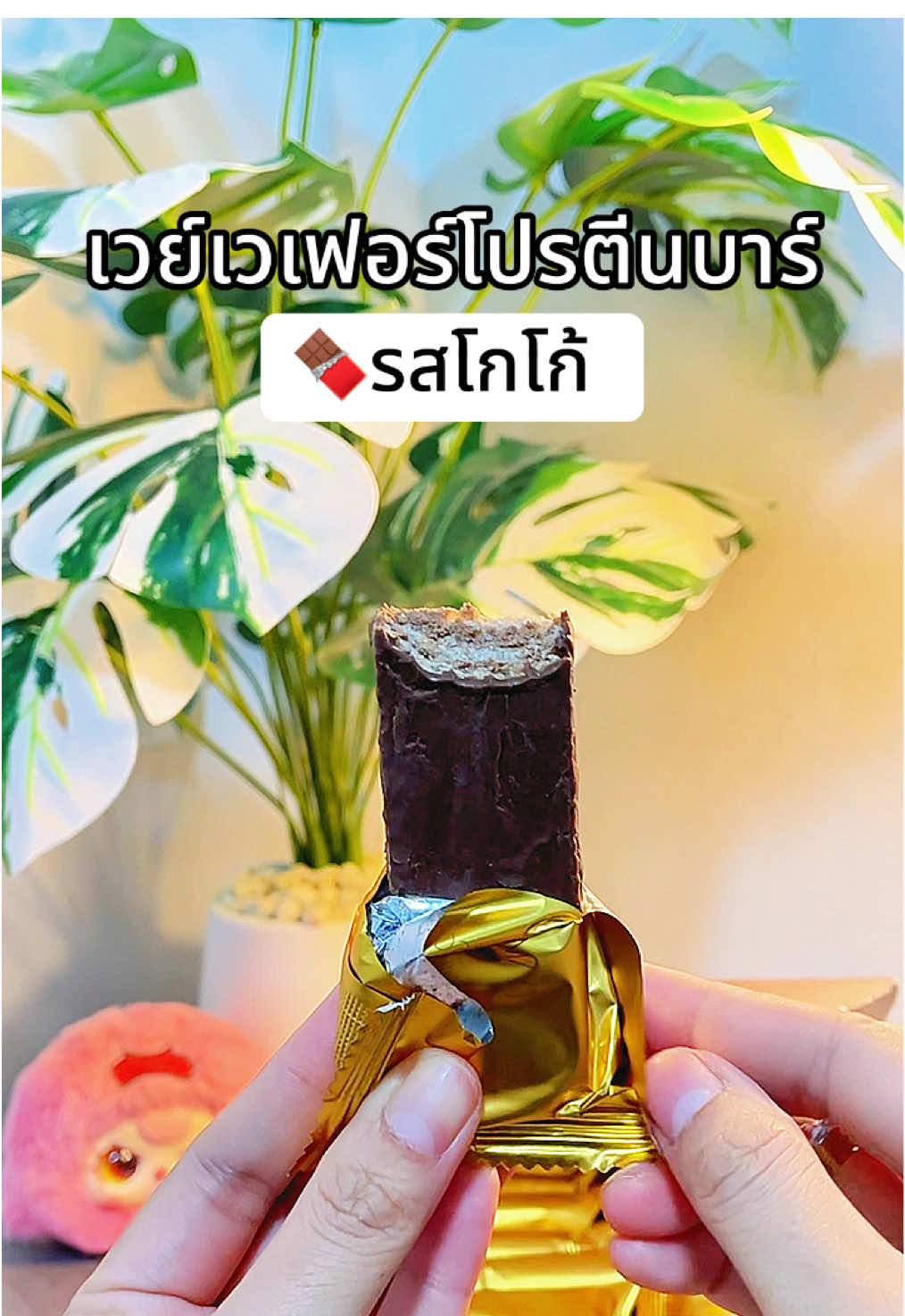 เวย์เวเฟอร์โปรตีนบาร์ รสช็อกโกแลต #เวย์เวเฟอร์ #เวเฟอร์โปรตีนบาร์รสโกโก้ #เวย์โปรตีน 