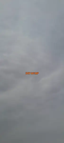 #85kids #fyppppppppppppppppppppppp #trendingvideo #RAT 001 MP @chax Big Guy 👏🕊️⭐ @85_Bantwana 