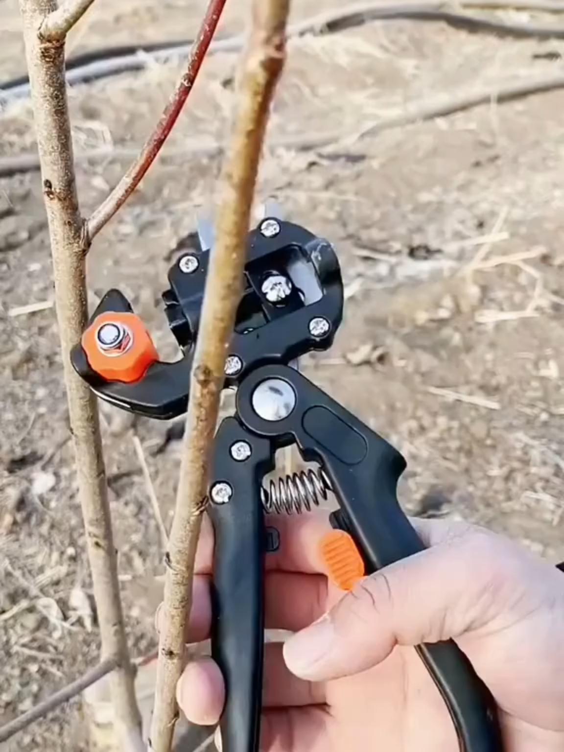 Bộ Kéo Ghép Cành Cây Chuyên Dụng - Kéo Chiết Ghép Cành Cây Đa Năng Tiện Lợi #xuhuong #keochietghepcanh