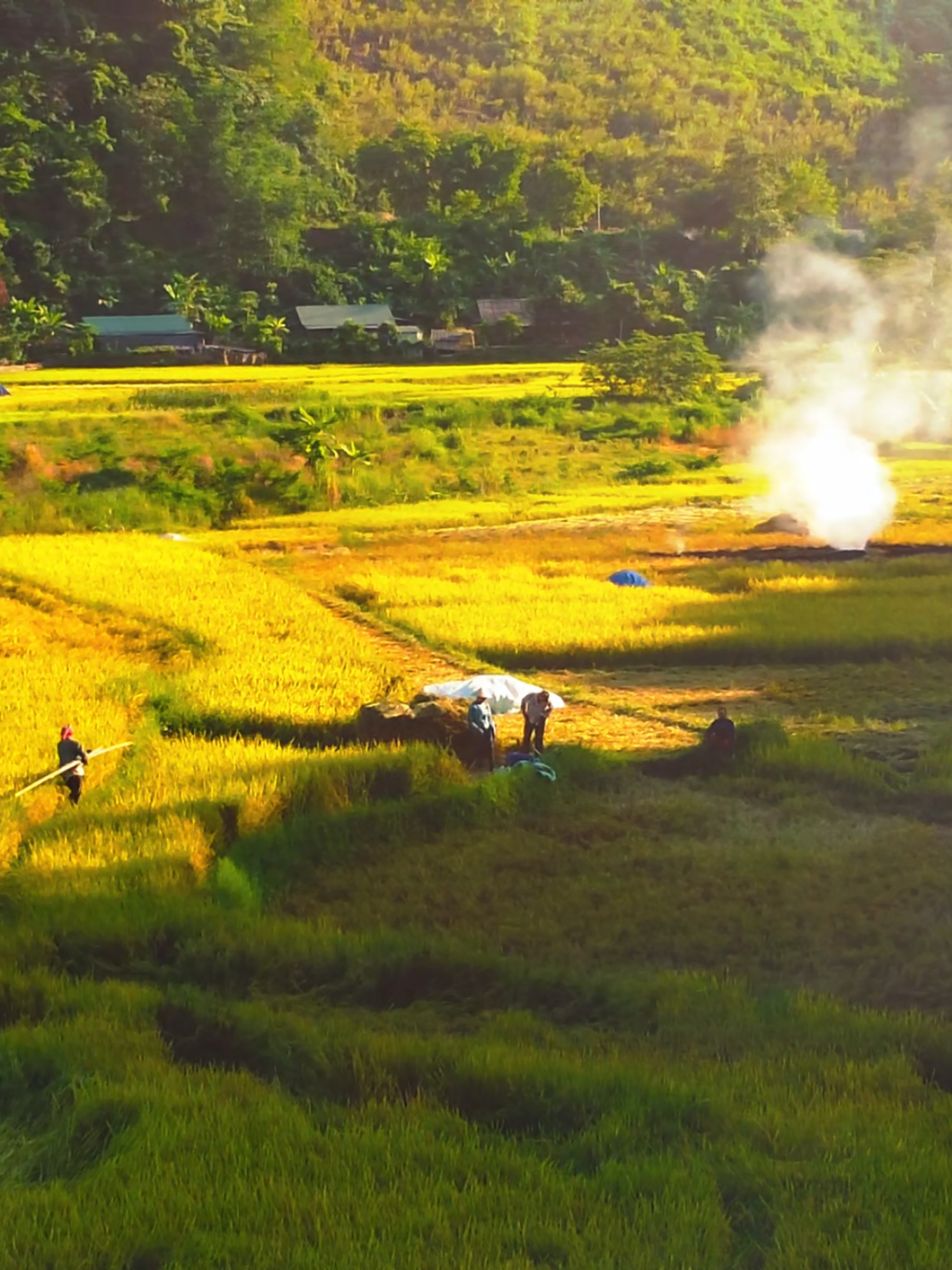 bản làng bên lưng núiiiii #flycam4k #viralvideos #dji #mini2se