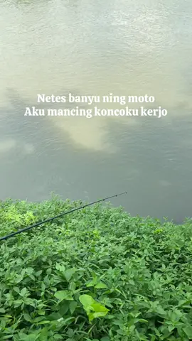 Eaaaa🤣#mancing 