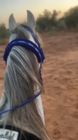 عنمتريد 🔥🏆