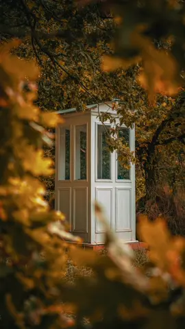 📍 En Bretagne, au cœur de la nature, une petite cabine blanche et bleue s’élève comme venue d’un autre temps. On l’appelle « À l’oreille du silence ». Ici, pas de ligne téléphonique reliée aux hommes, mais un fil invisible, tendu vers le vent. 🌬️ Chacun.e est invité.e à pousser sa porte et à parler à ses disparus, à murmurer des mots retenus, à confier ce qui pèse ou ce qui réchauffe encore. Un lieu intime, apaisant, où le silence écoute et où le vent emporte nos voix vers l’invisible. 🌌 Inspirée de la Cabine du vent d’Itaru Sasaki au Japon, cette installation a été imaginée par le collectif d’artistes Ehoh!, avec le soutien de la ville de Plestin-les-Grèves et Natura 2000. 🌿 Elle offre un espace de recueillement, au bord des paysages bretons, ouvert à toutes celles et ceux qui souhaitent se souvenir, se relier et laisser aller leurs mots dans le souffle du vent. ✨ Une parenthèse hors du temps, où les mots trouvent un chemin vers l’absence. #pourtoi #lieuxinsolites #bretagnetourisme 