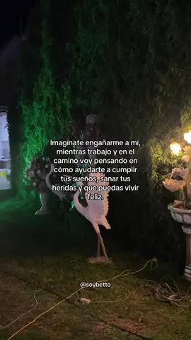 Yo no pierdo #parati #fyp #indirectas #novios #fouryou 