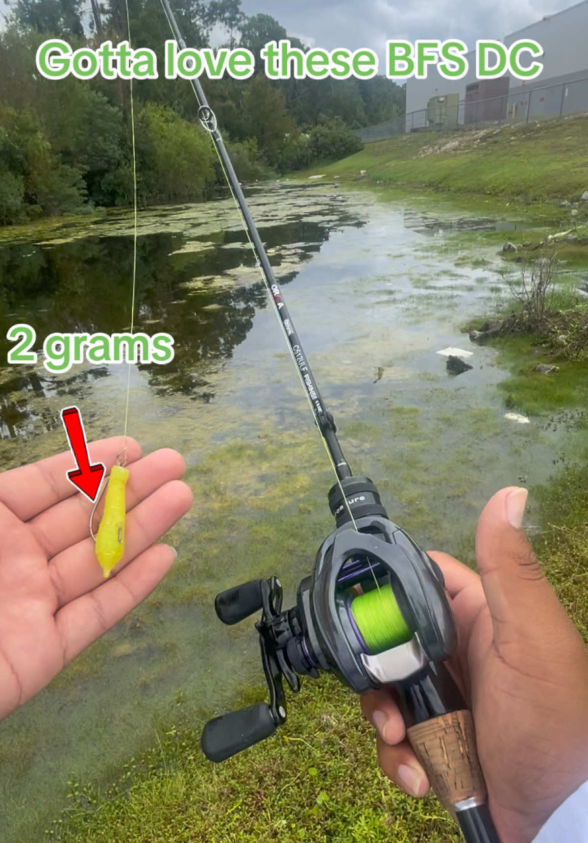 Can cast .5g all the way to 15g #bassfishing #bfsfishing #ultralightfishing #fypシ 