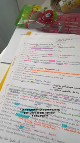 c’est bien harr #bacdefrancais #sorteznousdela #rameneznousenseconde #pourtoii #fyp 