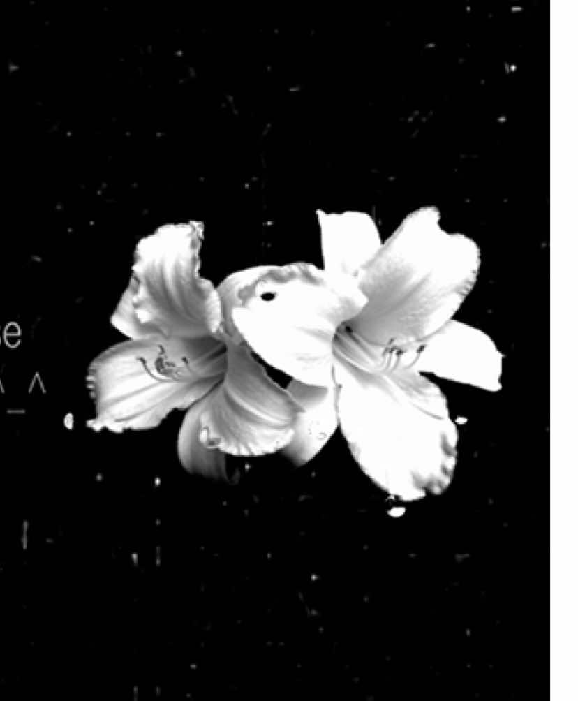 #speedsong #speedupsongs #nightcore #lyrics #fyp  @speed songs | lyrics 