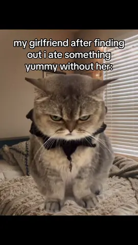 #cat #catsoftiktok #couple #girlfriend #ilovemygf #foryoupage #viral 