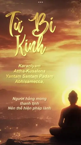 Thiền khúc Từ Bi Kinh 🪷 Khai Mở Thiện Tâm 🪷  #vongthanhtinhdo🎶  #thienkhucphatgiao #phatphapvobien #sharefromYTBSONGTUTAI 