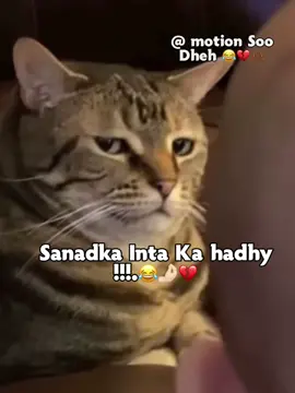 Love saar 🥀😂🙏🏻#xalimosss🤤 #somalitiktok #fyppppppppppppppppppppppp #foryoupage #viralvideos 