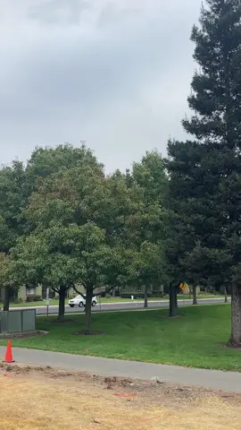 #successfullmk🙏 #blessedmk🙏 #viral #tiktokshop #fyp 