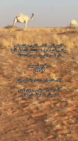 #pov #fyp #explore #tiktok #مشعوفات_ابن_ماطر 