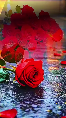 #CapCut #مساء_الخير🌹 اللهم مساء لايضرنا 