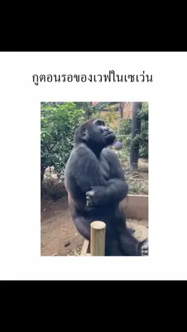 อิอิ #ฟีดดดシ 