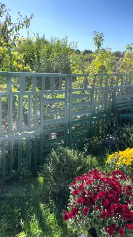 #тіктокмені15років 