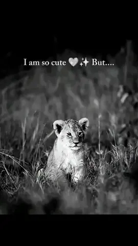 don’t trust me 👁️#fypシ゚viral #growmyaccount 