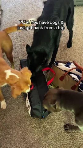 All the smells!