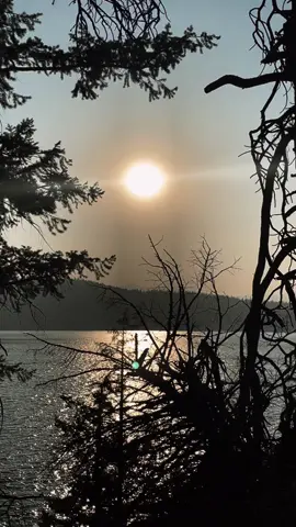 Magical sunsets#fyp #sunsetlover #naturetherapy #positivevibes #naturevideos 🤎