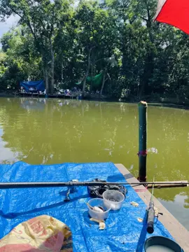 🎣🐟#foryou #foryou #bdtiktokofficial🇧🇩 #fishing #tasauf💥 #tasaufnasir_official #frrrrrrrrrrrrrrrryyyyyyyyyyyyyy #viralvideo 