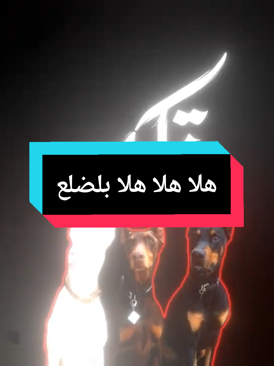 منشن الهم 😂🫵🏻🫵🏻🫵🏻.  #اصدقائي #اغاني_عراقيه_مسرعه💥🎧 #اغاني_مسرعه💥 #fyp #نجاح_الطلاب 