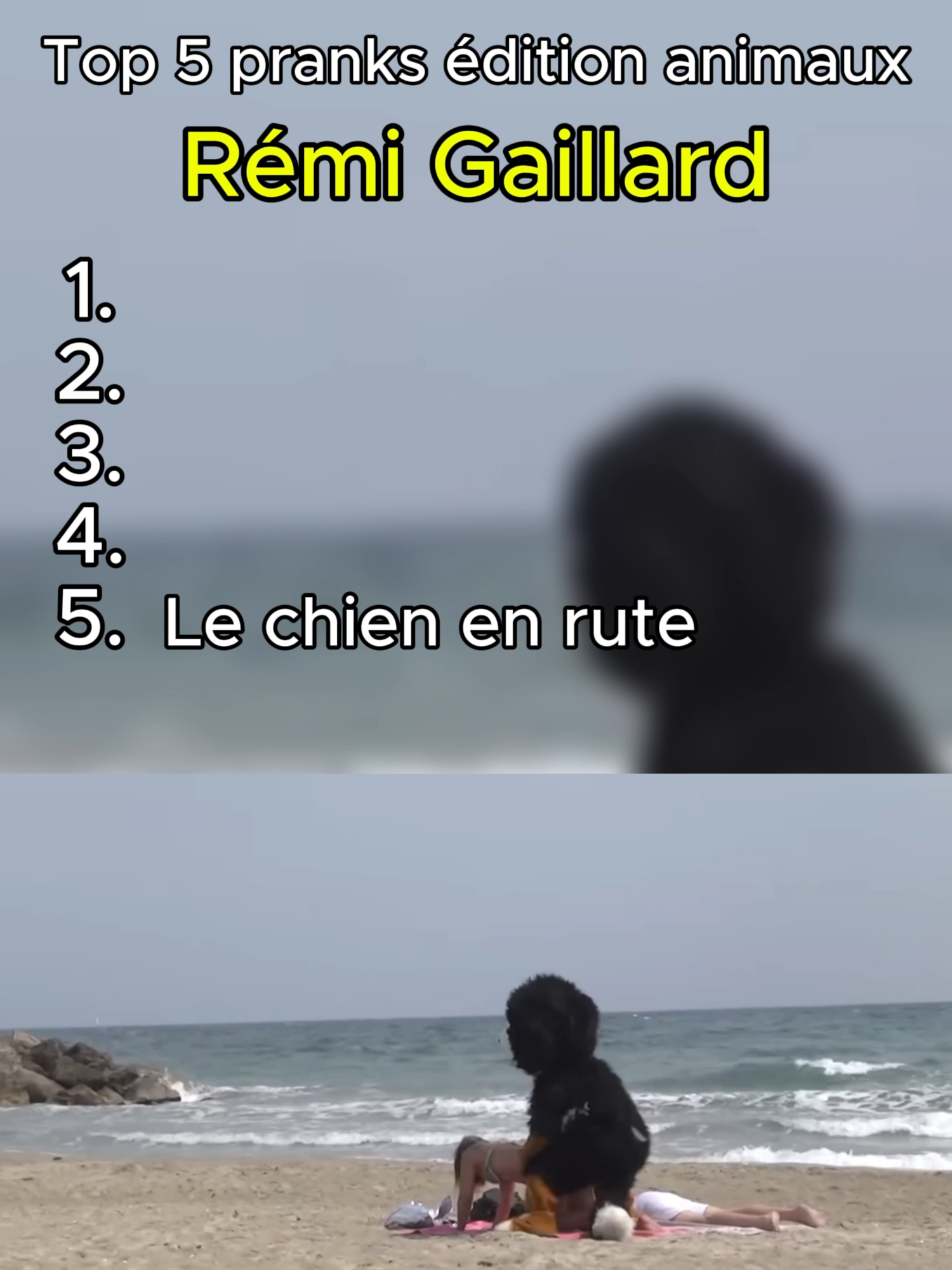 Les meilleurs déguisement de Rémi Gaillard !! Le dernier est tres drôle !!#Rémi.gaillard #funnyy #pourtoi #fou