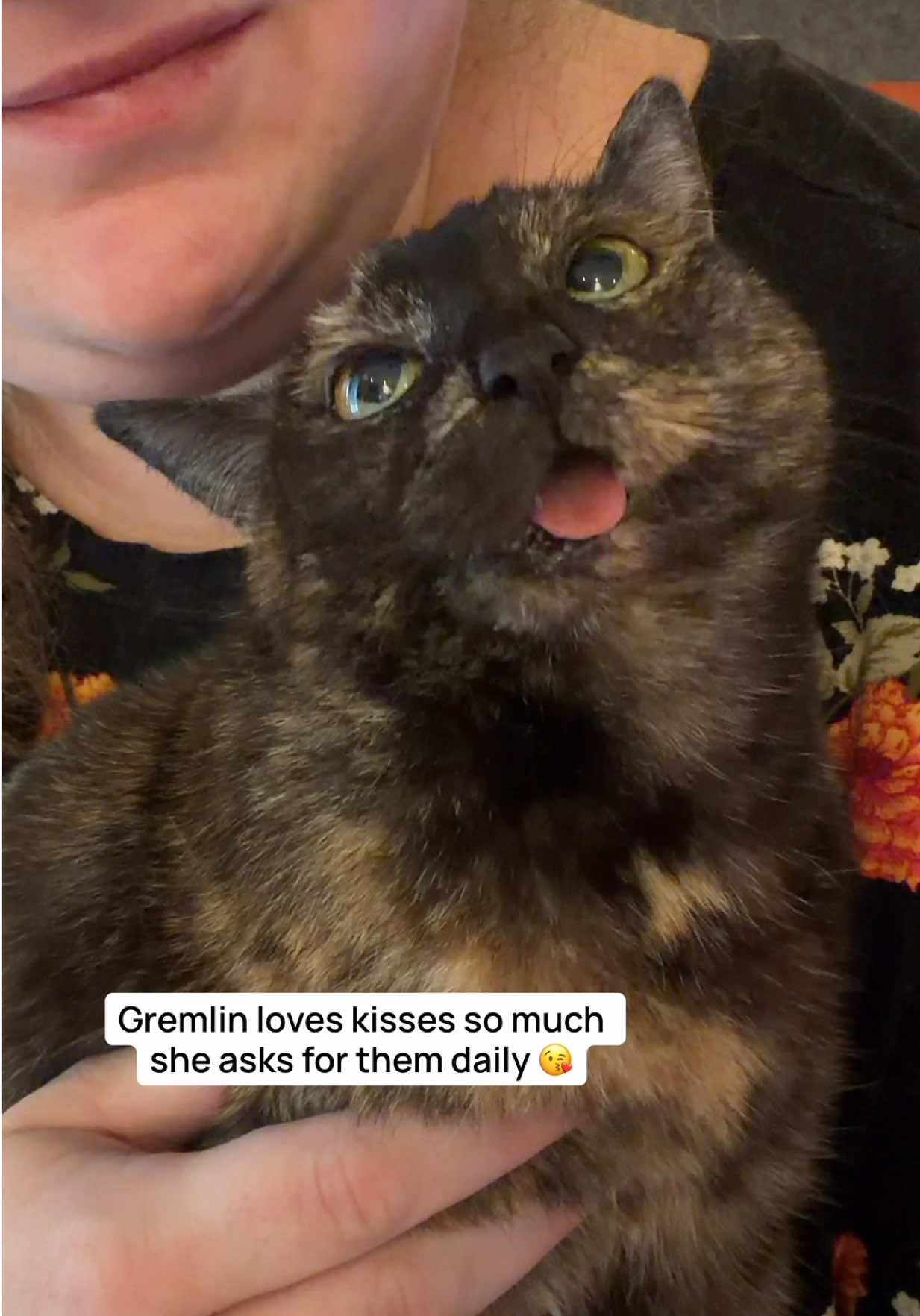 Does your kitty love kisses too? 💋 ​ ​#catladytails #catsoftiktok #tortiecatsoftiktok #kittykisses #gremlinthecat 