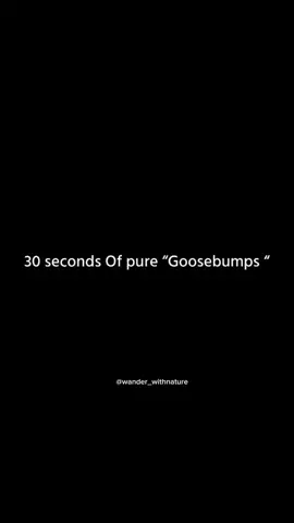 #beliveingod #kedarnath #harharmahadevॐ #viral#fyyyyyyyyyyyyyyyy 