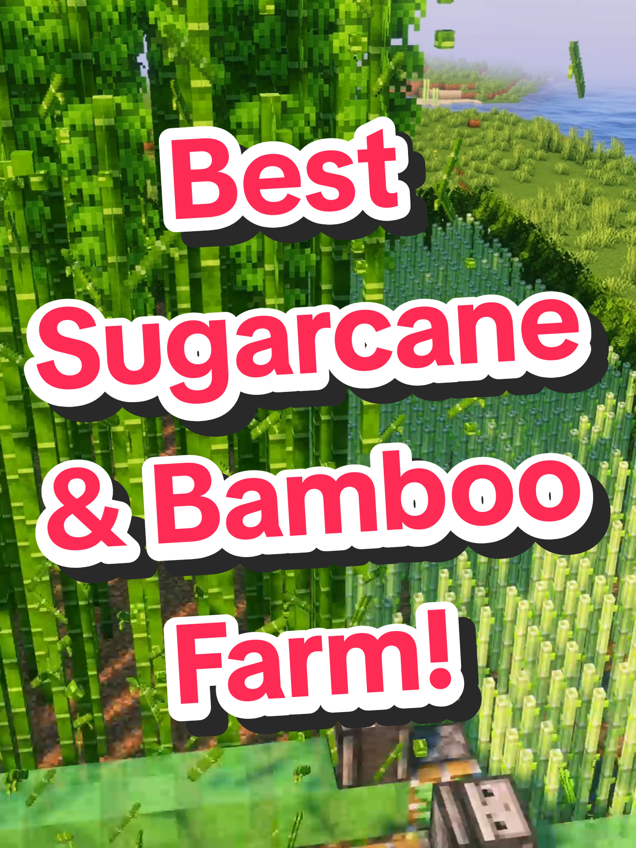 Best Sugarcane & Bamboo Farm in Minecraft! #minecraftusa #Minecraft #minecrafttutorial #minecraftbuilding #minecraftfarm 