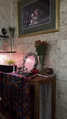 فالي ♥️♥️ @Valley Café  #اكسبلورexplore  #صامطه  #فالي