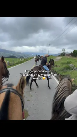 #caballos #cabalgata #flypシ #viral #🎠 