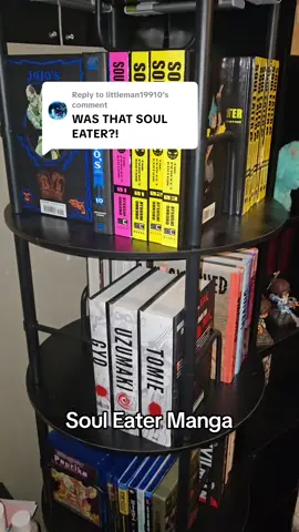 Replying to @littleman19910 Soul eater volume 2 cuz volume 1 is sold out #souleater #souleatermanga #manga #mangarecommendation #mangacollection 