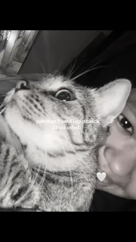 #fyppppppppppppppppppppppp #fyp #bismillahfyp #ilysm 