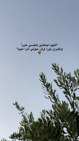 🤎...