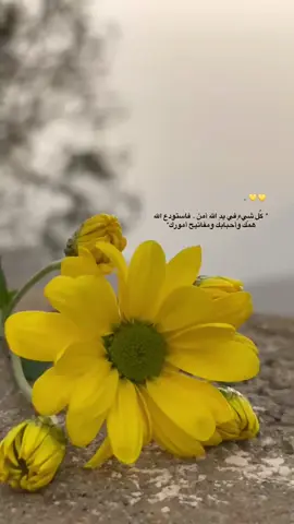 .. 🌱🕯️✨ 